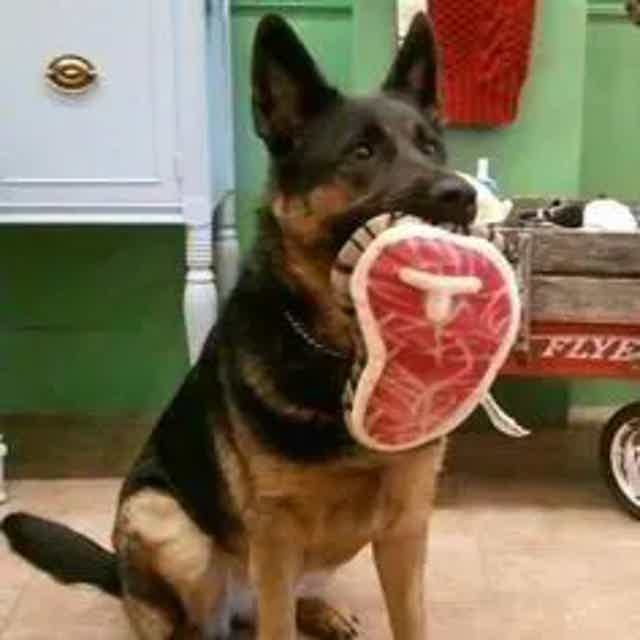 Don't bother me, I'm eating!