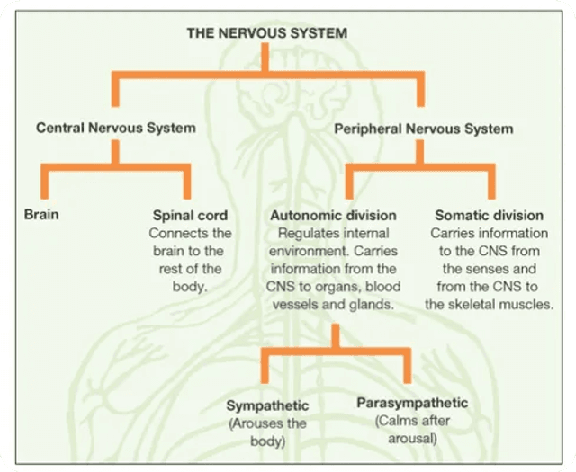 Getting on your nerves? Let's stick it to ya..
